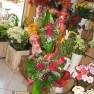 cvecara-ikebana-becej
